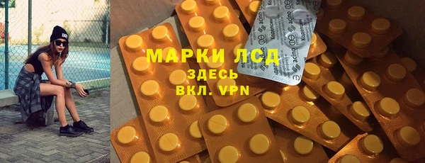 сатива Россошь