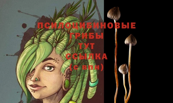 мескалин Абаза