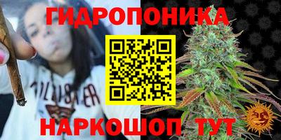 PSILOCYBIN Камышлов