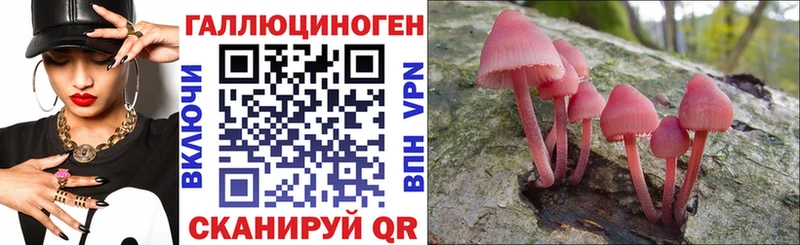 Галлюциногенные грибы GOLDEN TEACHER  нарко площадка официальный сайт  Новоалександровск 