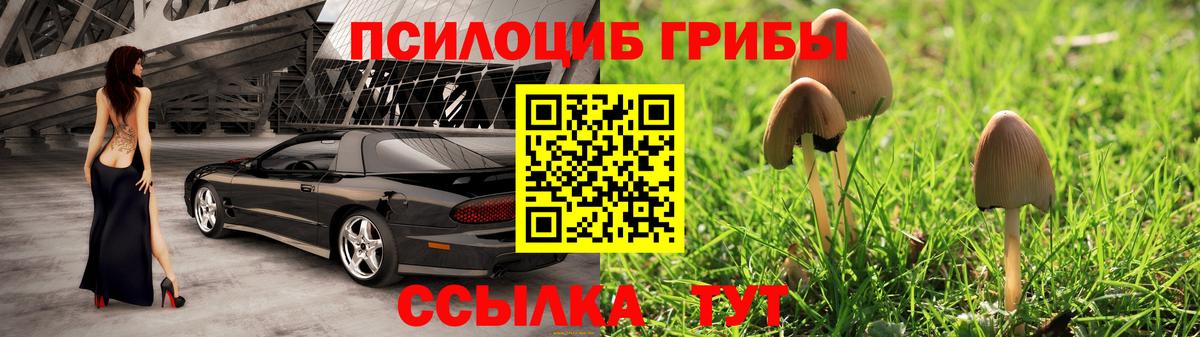 Псилоцибиновые грибы прущие грибы Новоалександровск