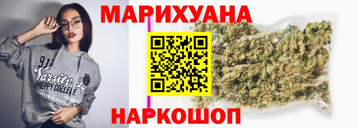Конопля сатива Новоалександровск