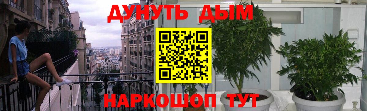 Новоалександровск  Бошки Шишки гибрид  Каннабис THC 21%  Вход с VPN 